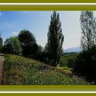 Spaziergang beim Freilichtmuseum Beuren 1