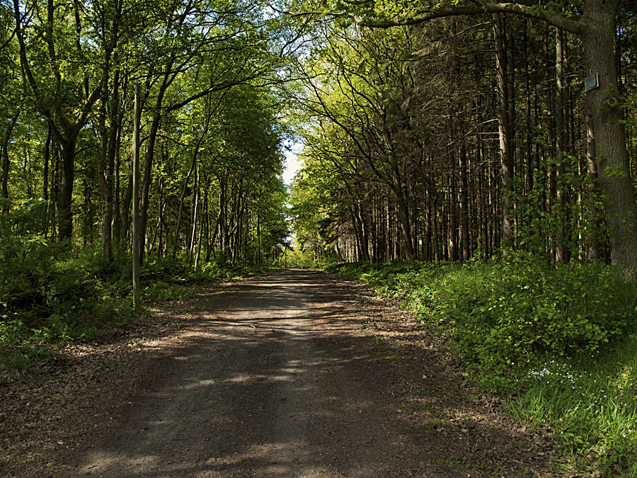 Spaziergang...