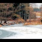 Spaziergang der Rodel entlang