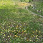 Spaziergang Dolomiten