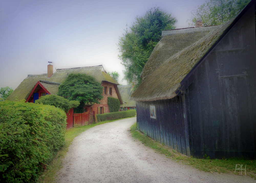 Spaziergang durch Ahrenshoop II