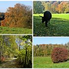 Spaziergang durch das Neandertal