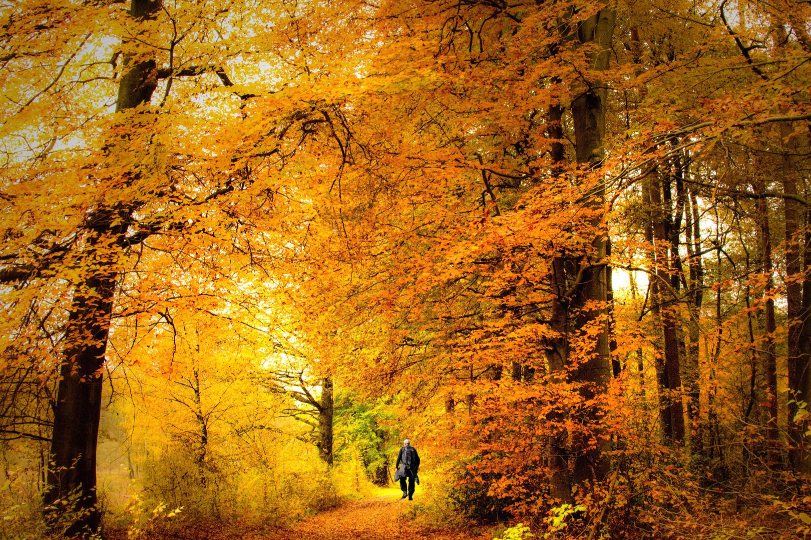 Spaziergang durch den barocken Herbstwald