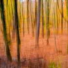 Spaziergang durch den barocken Herbstwald