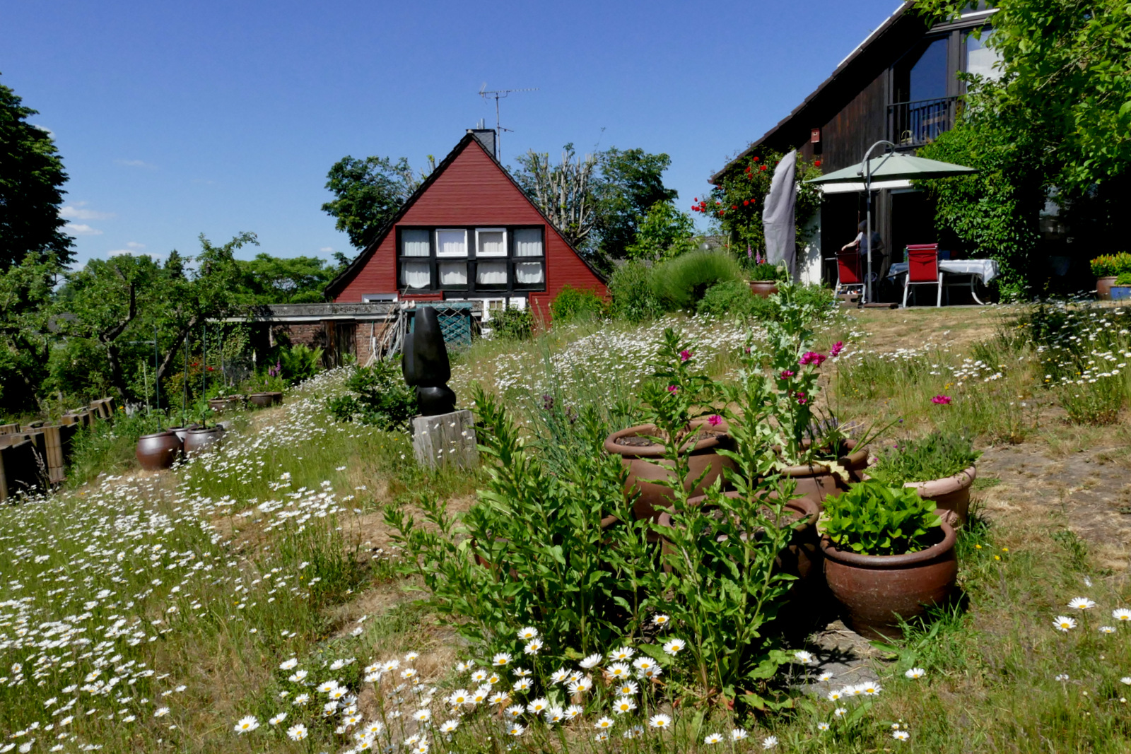 "Spaziergang durch den Garten 1 "