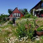 "Spaziergang durch den Garten 1 "