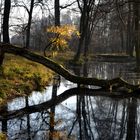 Spaziergang durch den Park