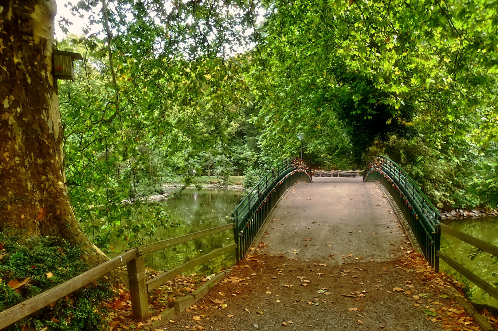 Spaziergang durch den Rombergpark