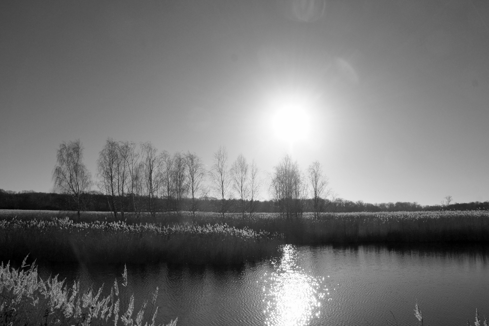 Spaziergang durch den Schellbruch