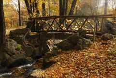 Spaziergang durch den Schlosspark Laxenburg 2