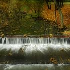 Spaziergang durch den Schlosspark Laxenburg 5