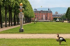 Spaziergang durch den Schwetzinger Schlossgarten