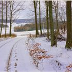 Spaziergang durch den Wald (paseando por el bosque)