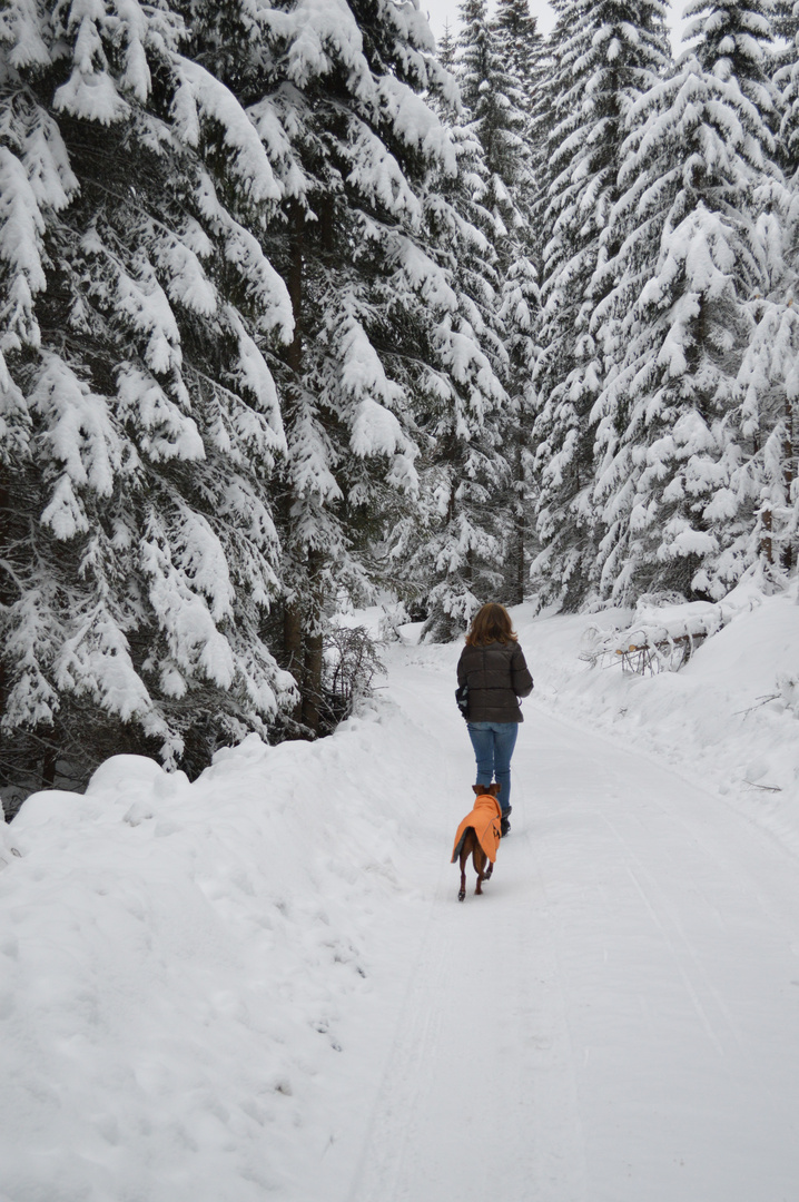 Spaziergang durch den Winter