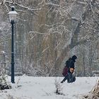 Spaziergang durch den winterlichen Park