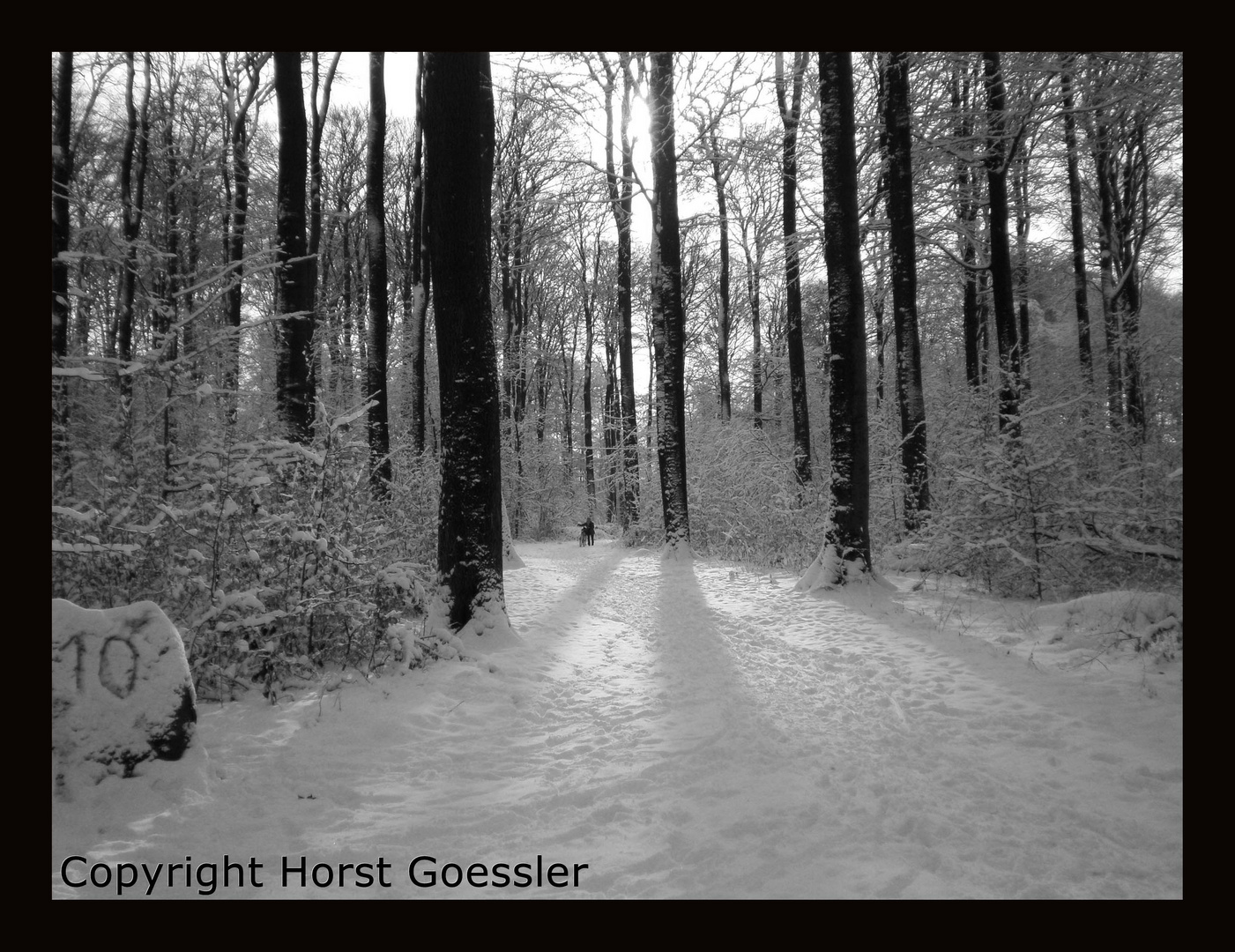 "Spaziergang durch den Winterwald"