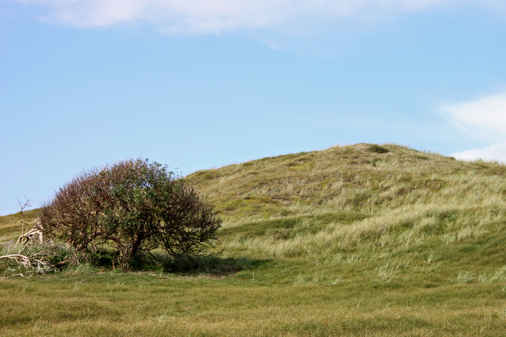 Spaziergang durch die Dünen