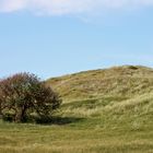 Spaziergang durch die Dünen