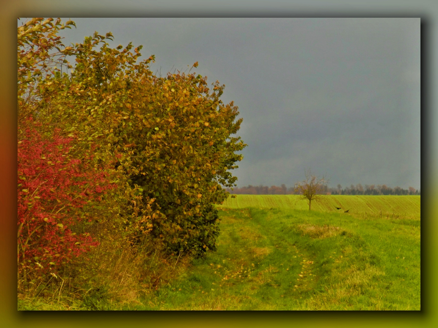 Spaziergang durch die Felder