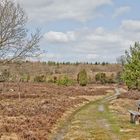 Spaziergang durch die Heide