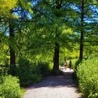 Spaziergang durch die Natur