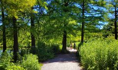 Spaziergang durch die Natur