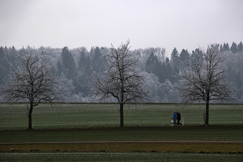 Spaziergang durch die oberschwäbische Landschaft