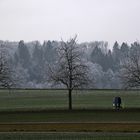 Spaziergang durch die oberschwäbische Landschaft