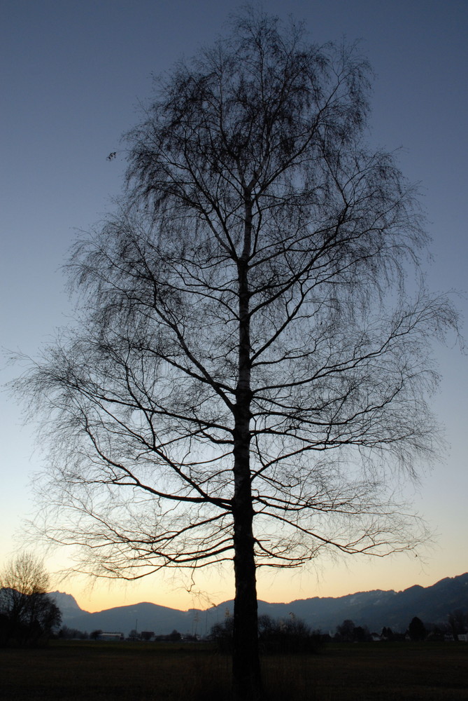 Spaziergang durch die Ruhe