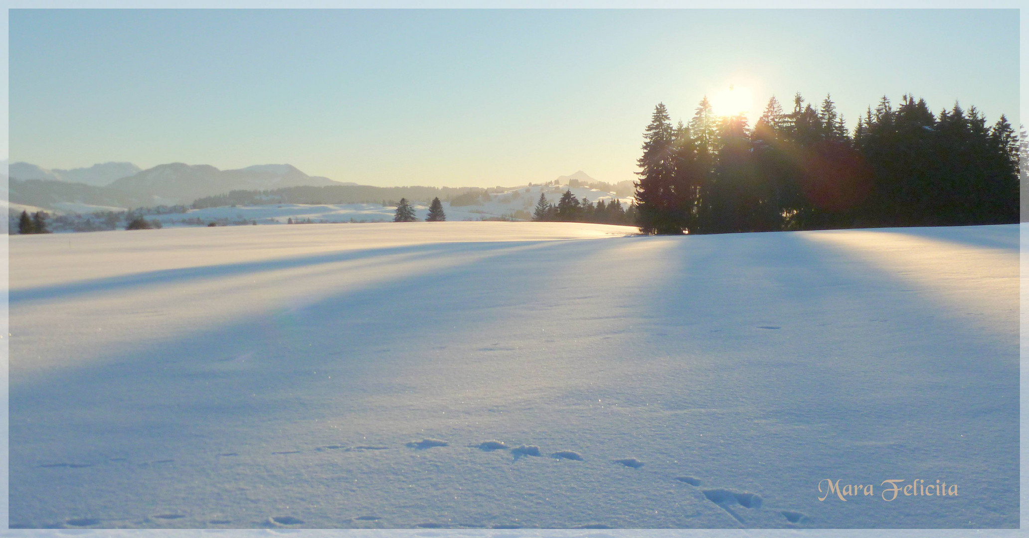 Spaziergang durch die Stille.....