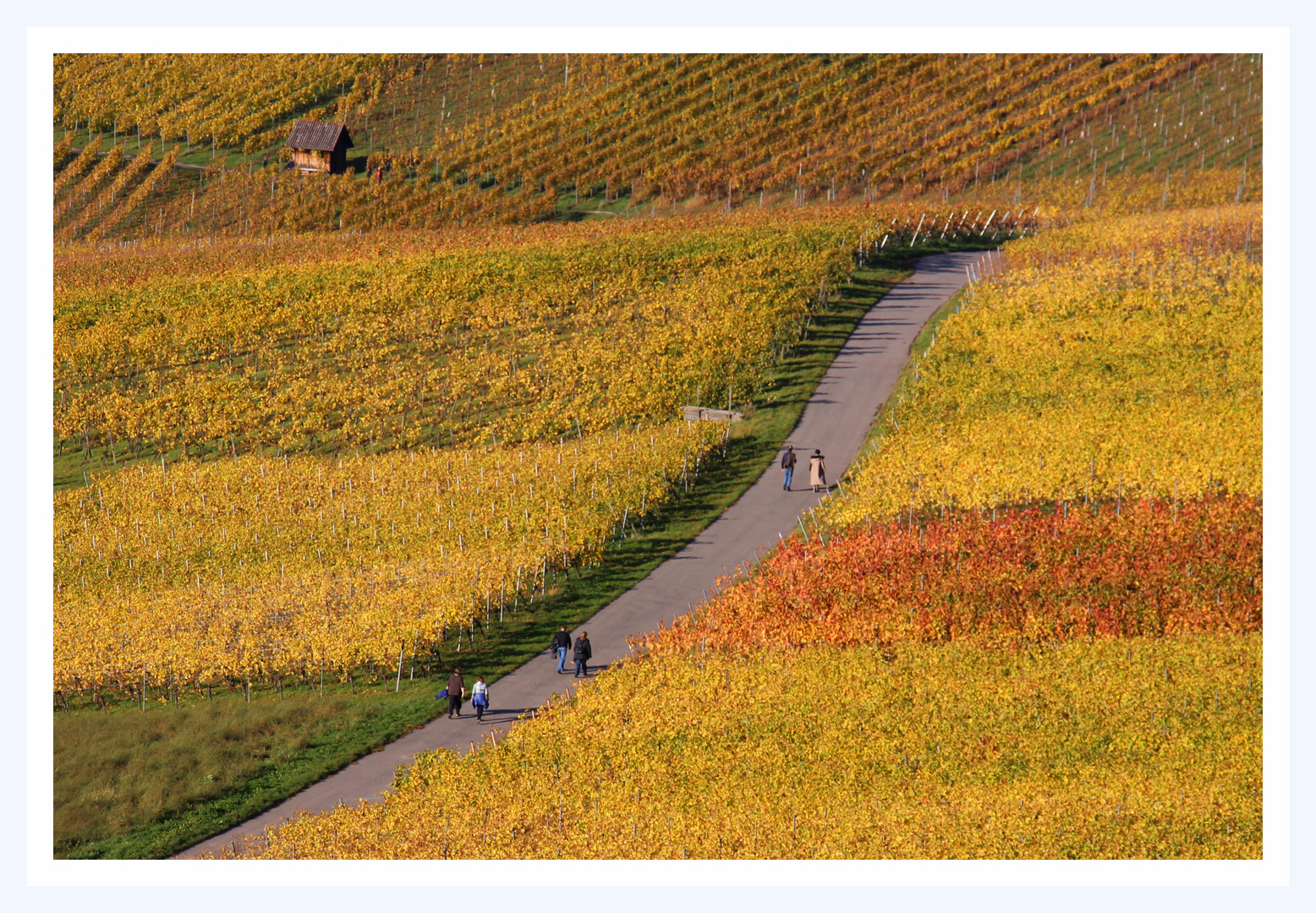 Spaziergang durch die Weinberge