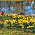 Spaziergang durch Dresden