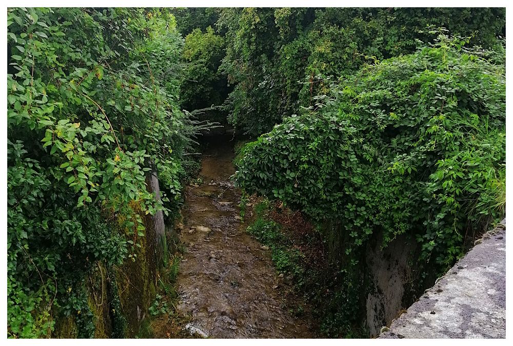 Spaziergang durch Ermatingen, I