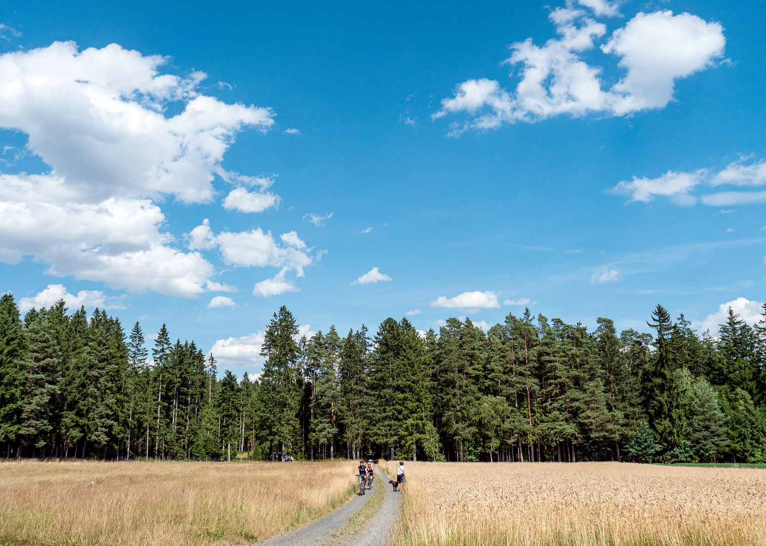 spaziergang durch feld und wald...