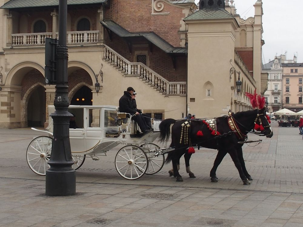 Spaziergang durch Krakau  / Spazerkiem po Krakowie  A2060019