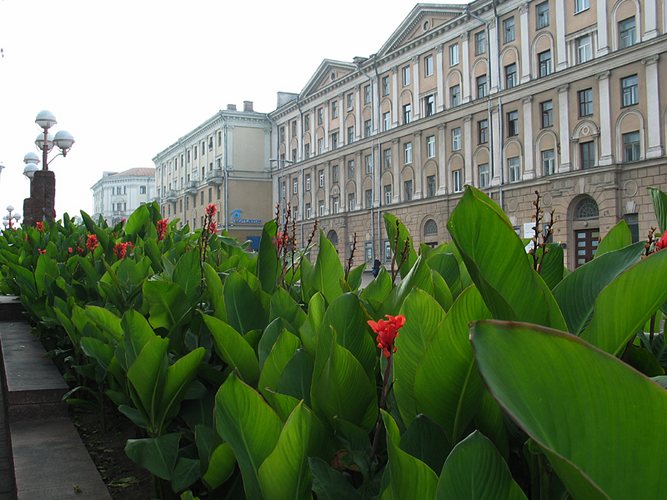 Spaziergang durch Minsk