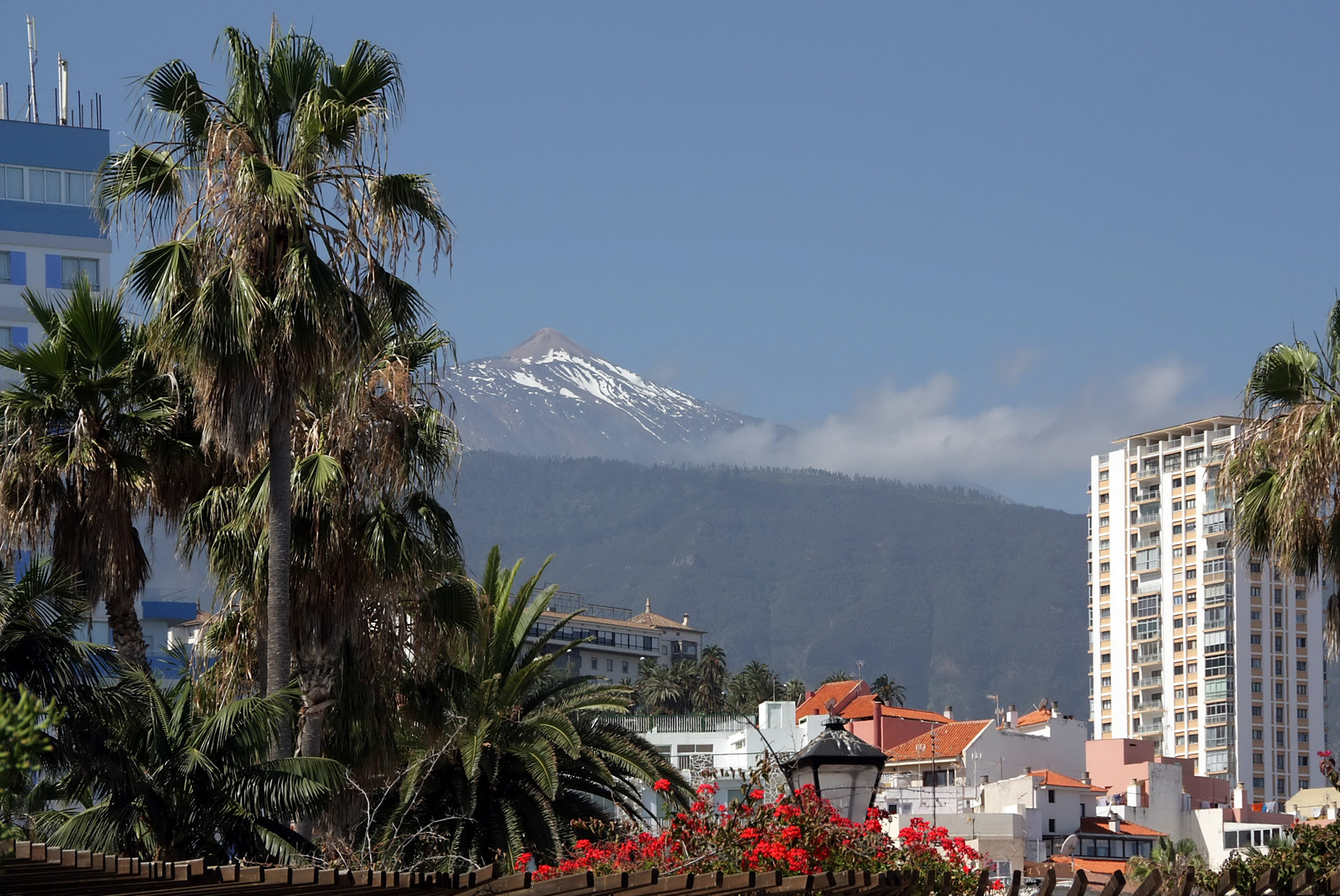 Spaziergang durch PUERTO DE LA CRUZ