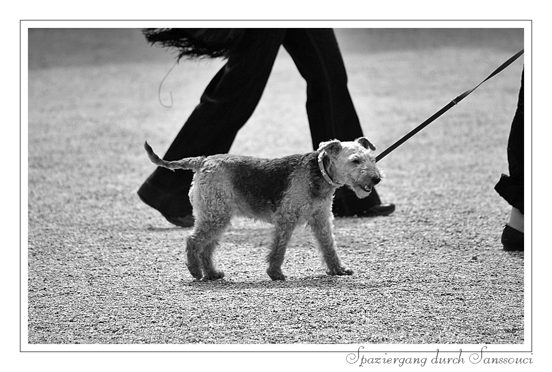 Spaziergang durch Sanssouci