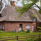 Spaziergang durch Sieseby, ein ganz besonderer Ort an der Schlei - die 1.)