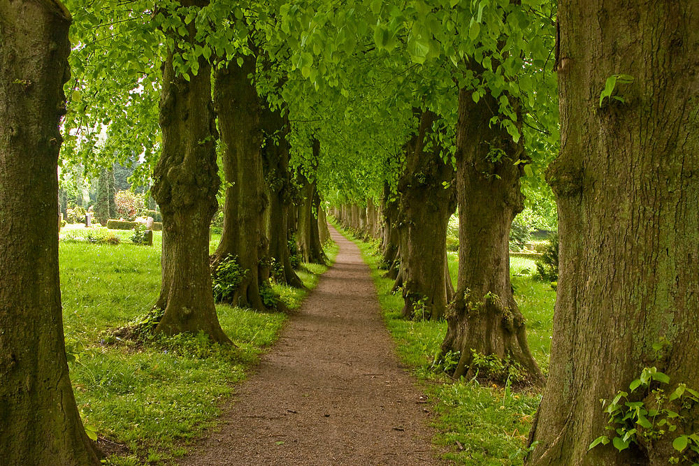 Spaziergang durch Sieseby, ein ganz besonderer Ort an der Schlei - die 3.)