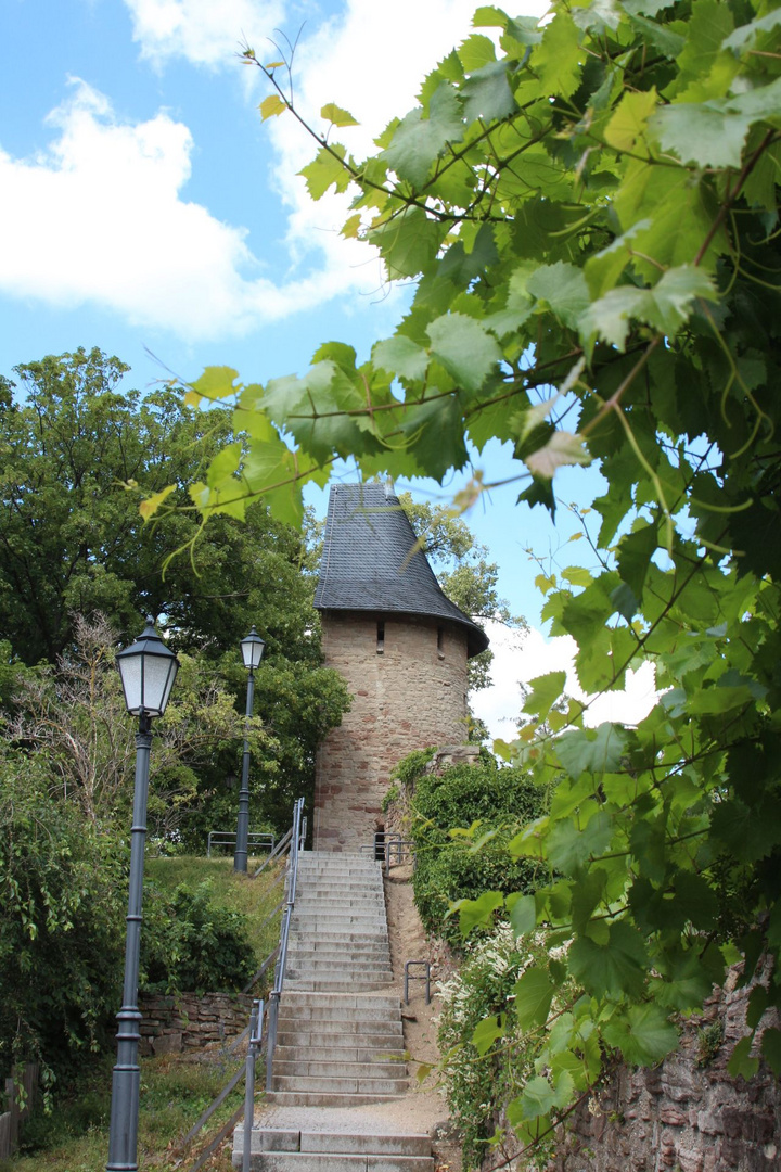 ...Spaziergang durch Wernigerode