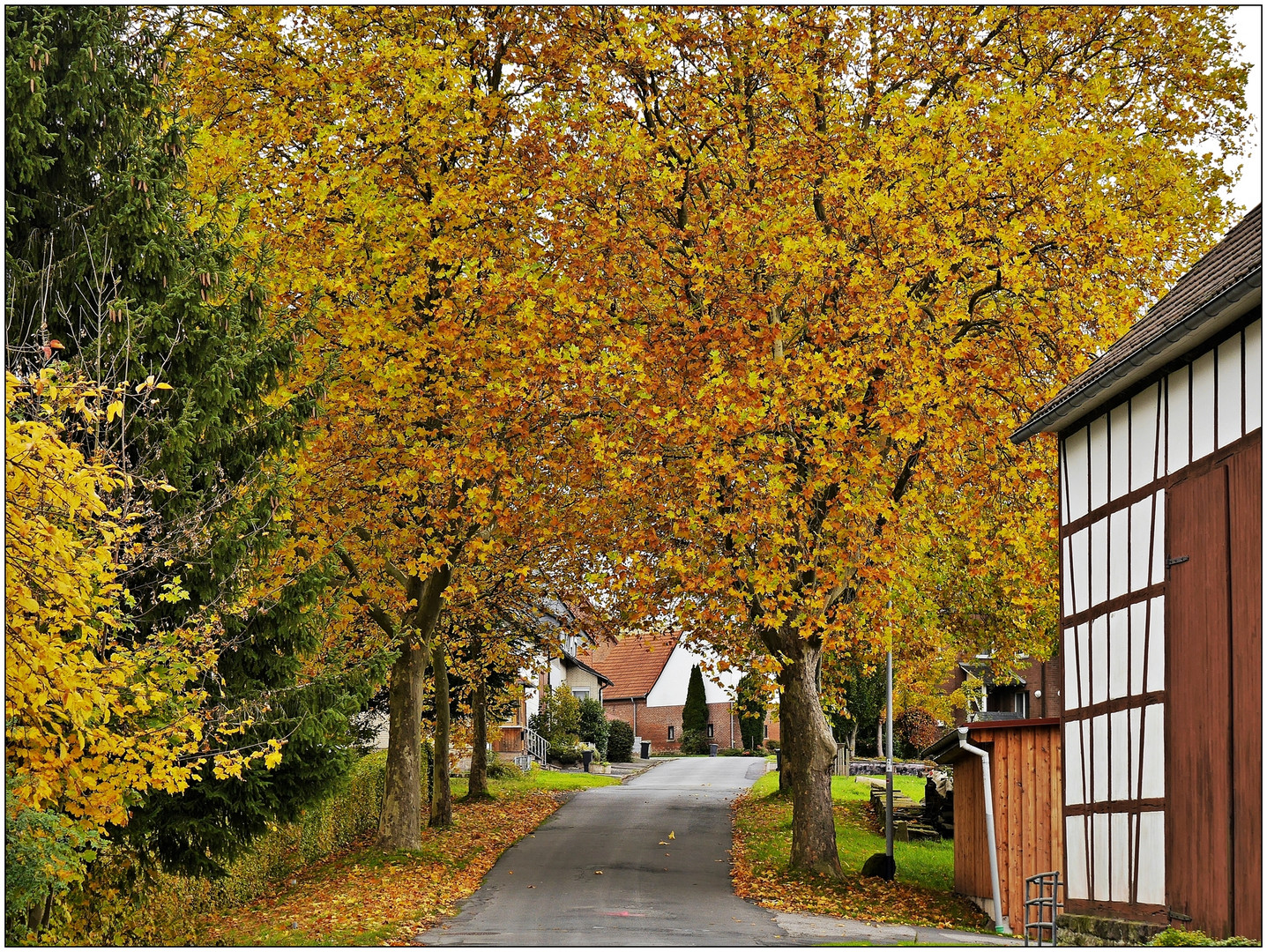 Spaziergang durchs Dorf