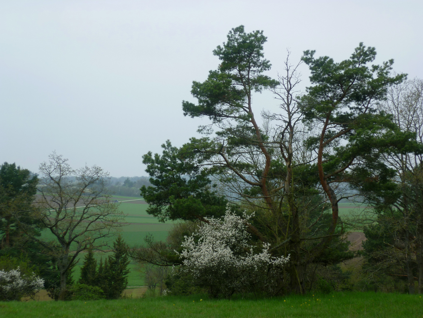 Spaziergang durchs Naturschutzgebiet Venusberg