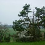 Spaziergang durchs Naturschutzgebiet Venusberg