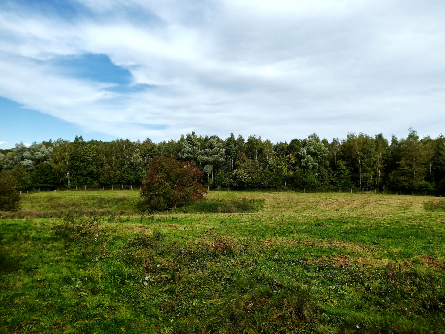 Spaziergang durchs Neandertal