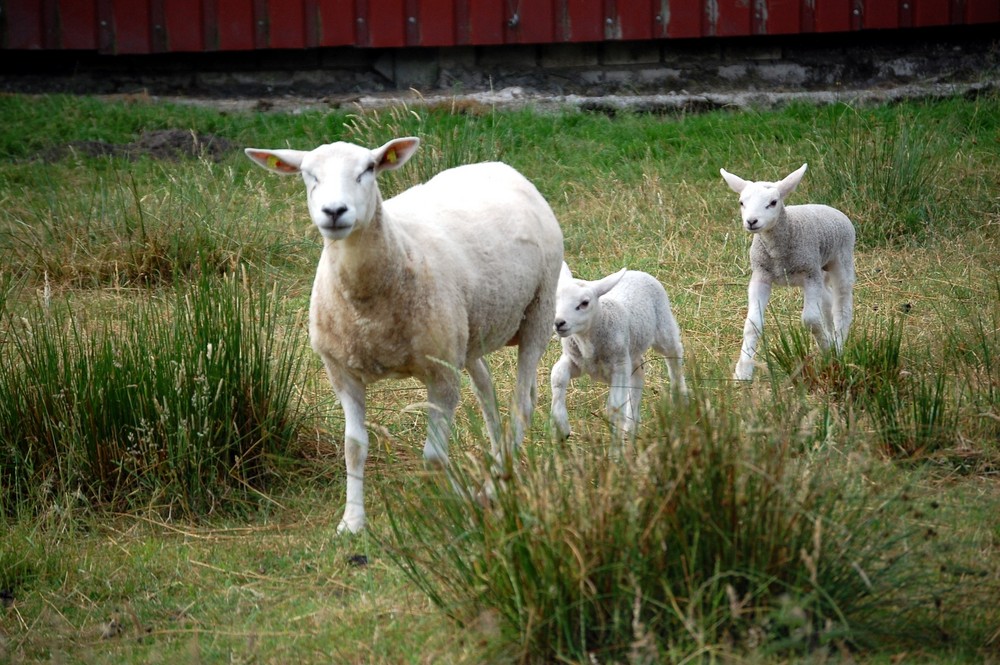 Spaziergang