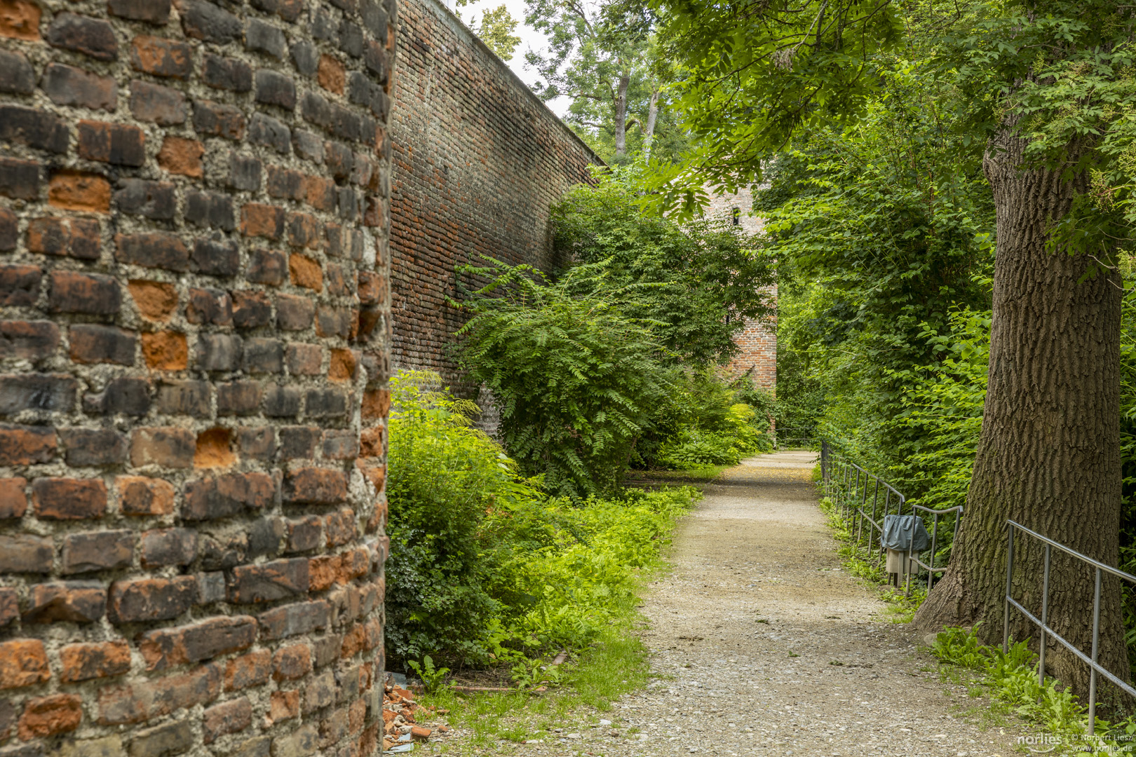 Spaziergang entlang der Stadtmauer