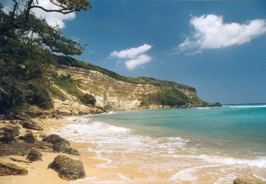 Spaziergang entlang des Strandes von Las Ballenas III