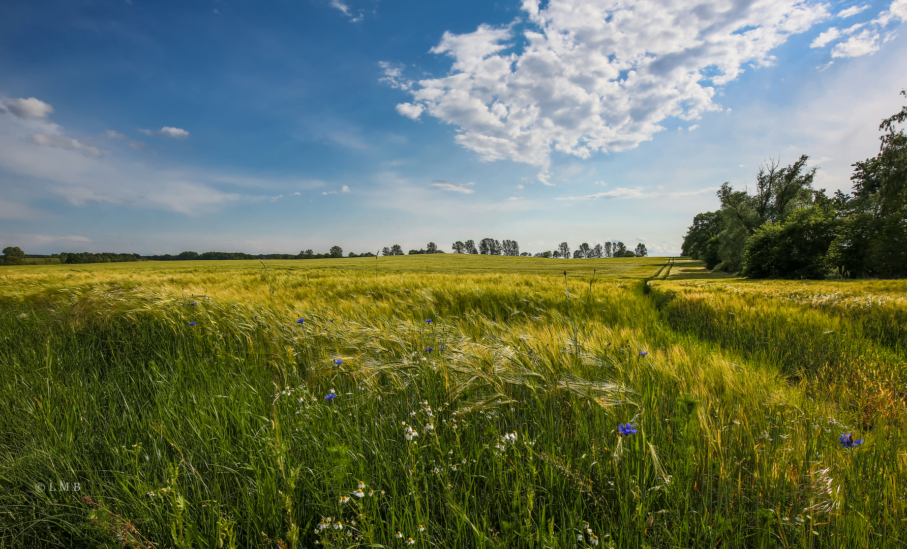 Spaziergang für die Seele