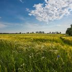 Spaziergang für die Seele